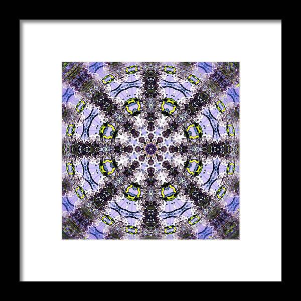Mandala Framed Print featuring the digital art Batik WIsteria Mandala by Deborah Smith