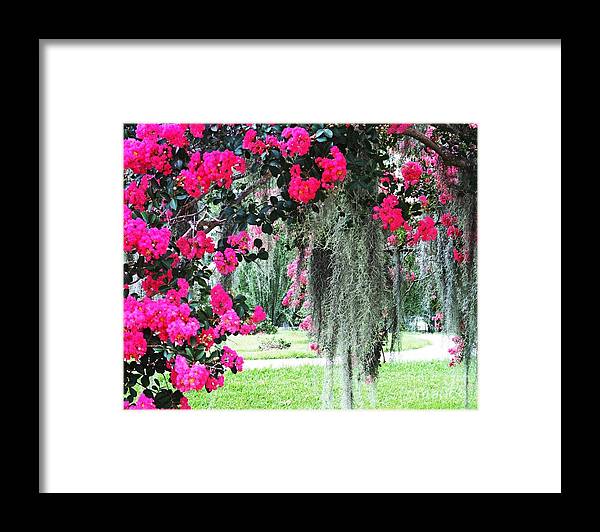 Flowers Framed Print featuring the photograph Baton Rouge Louisiana Crepe Myrtle and Moss at Capitol Park by Lizi Beard-Ward