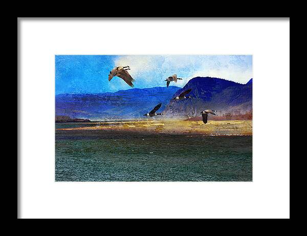 Canadian Geese Framed Print featuring the photograph Battle Bluff by Ed Hall