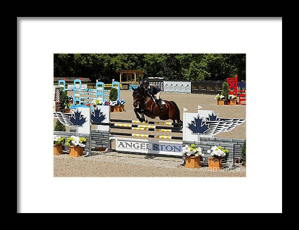 Horse Framed Print featuring the photograph Bay Jumper by Janice Byer