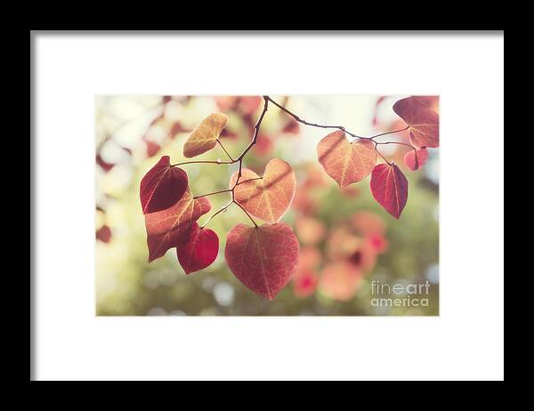 Be My Valentine Framed Print featuring the photograph Be My Valentine by Chris Scroggins