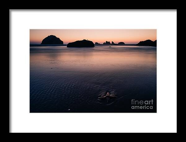 Starfish Framed Print featuring the photograph Patience by Gene Garnace