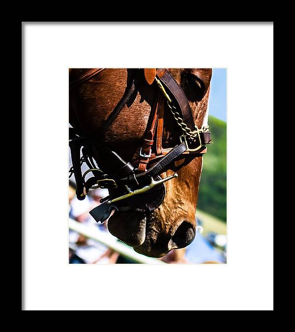 Steeplechase Framed Print featuring the photograph Be quiet I'm trying to think by Robert L Jackson
