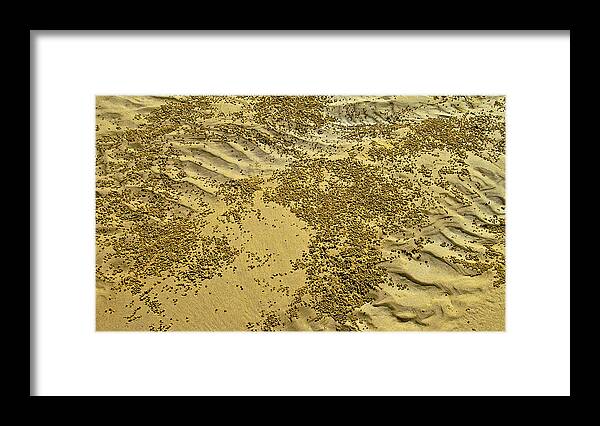 Beach Framed Print featuring the photograph Beach desertscape by Jocelyn Kahawai