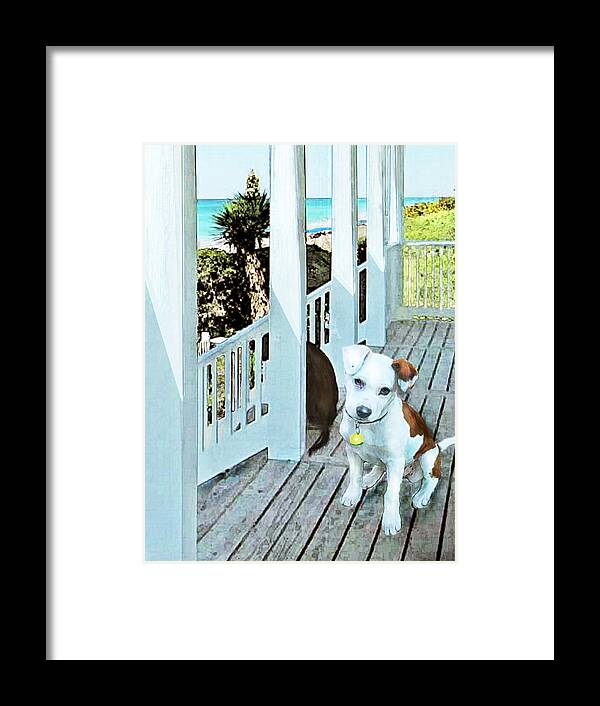 Jane Schnetlage Framed Print featuring the digital art Beach Dog 1 by Jane Schnetlage
