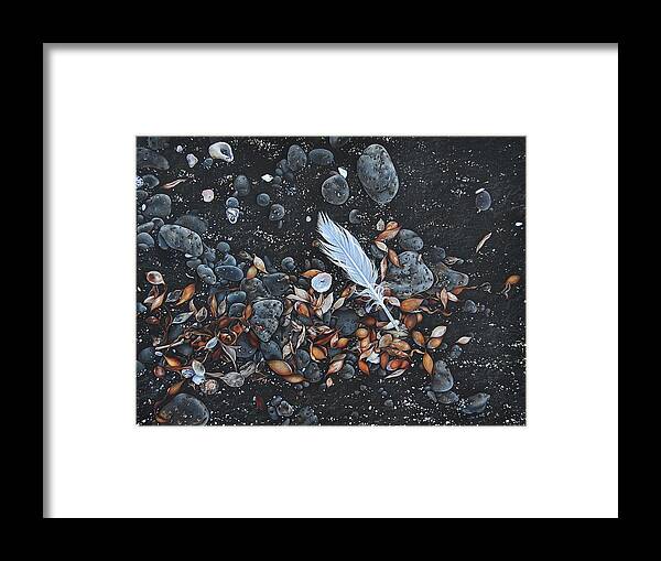 Beach Framed Print featuring the drawing Beach floor. Flinders Vic by Elena Kolotusha