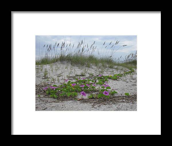 Beach Framed Print featuring the Beach Flowers by Ellen Meakin