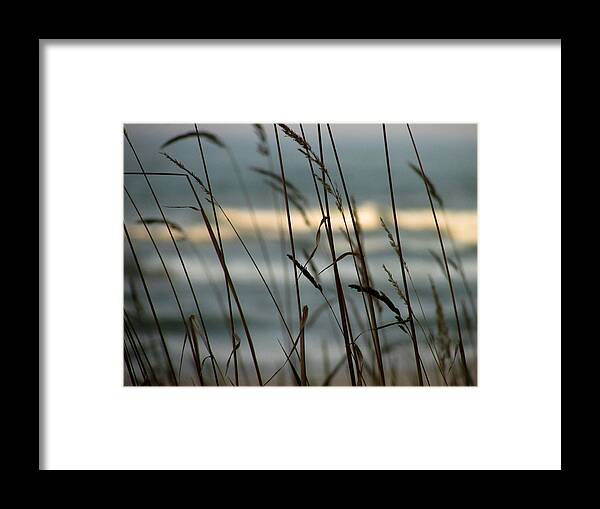 Beach Framed Print featuring the photograph Beach Grass by Kimberly Mackowski