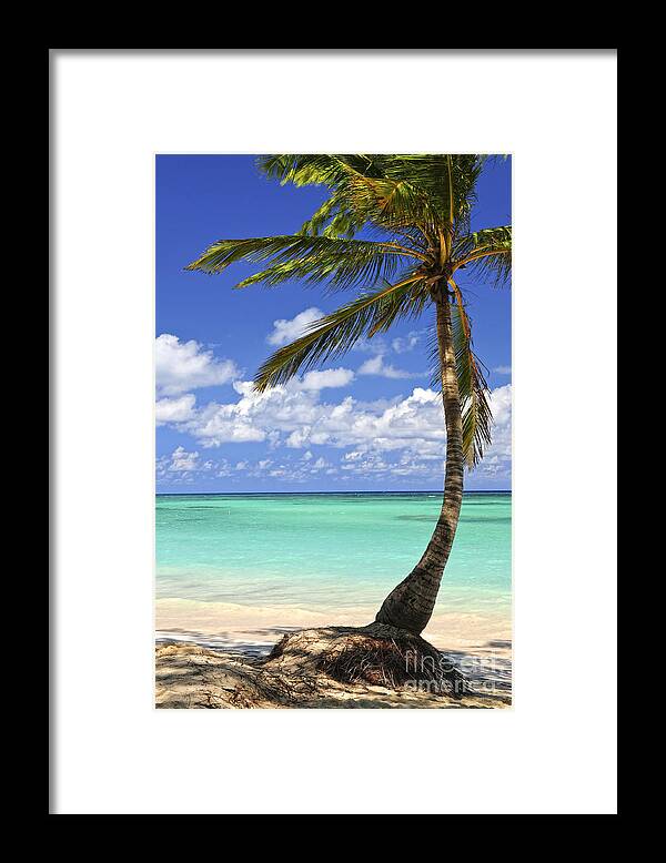 Beach Framed Print featuring the photograph Beach of a tropical island by Elena Elisseeva