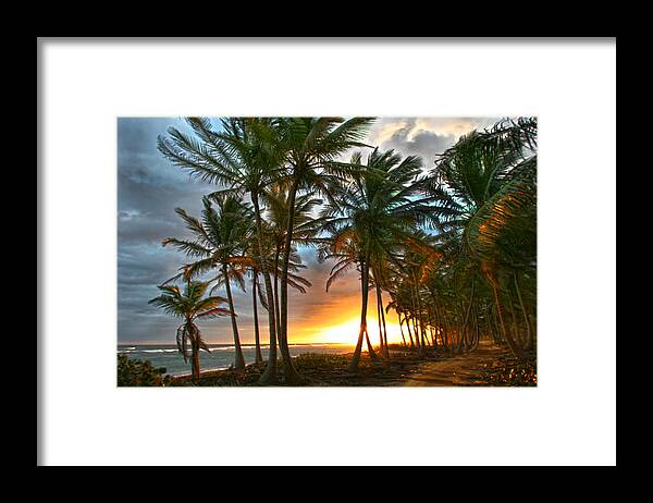 Palms Framed Print featuring the photograph Beach Road by Robert Och