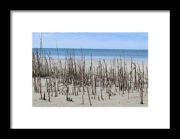 Beach Framed Print featuring the photograph Beach Scene by Christy Pooschke