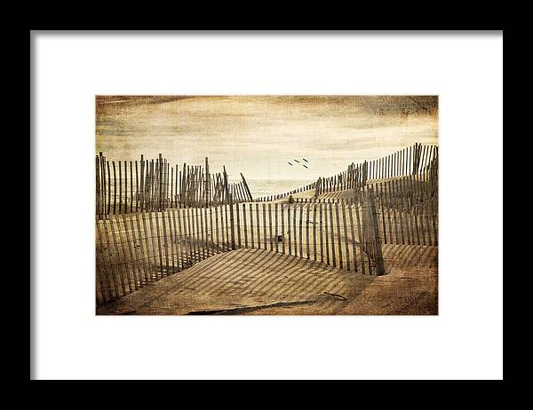 Beach Framed Print featuring the photograph Beach Shadows by Cathy Kovarik
