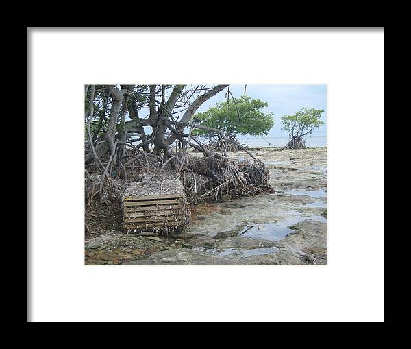 Lobster Framed Print featuring the photograph Beached Lobster Trap by Robert Nickologianis