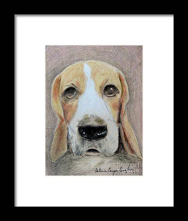 Dog Framed Print featuring the drawing Beagle Best in Show by Patricia Januszkiewicz