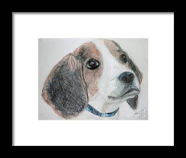 Animal Framed Print featuring the drawing Beagle by Lyric Lucas