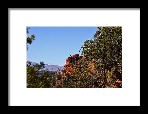Arizona Framed Print featuring the photograph Bear Mountain Trail by Walt Sterneman