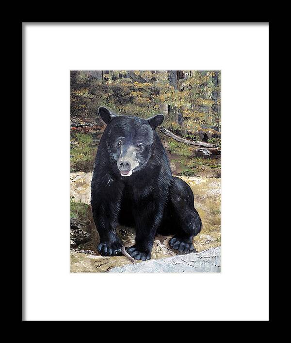 Black Bear Framed Print featuring the painting Bear - Wildlife Art - Ursus americanus by Jan Dappen