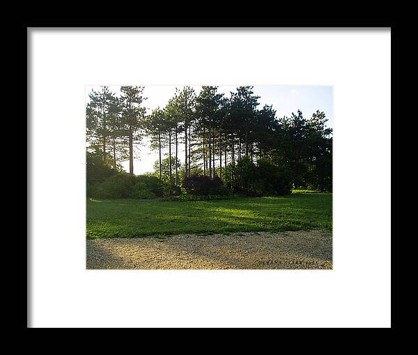 Landscape Framed Print featuring the photograph Beautiful Earth by Verana Stark