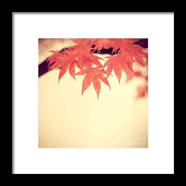 Autumn Framed Print featuring the photograph Beautiful Fall by Hannes Cmarits