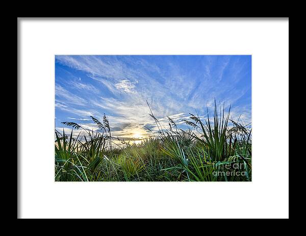 Grass Framed Print featuring the photograph Beautiful Morning by Mina Isaac