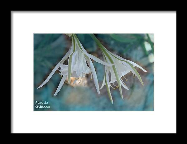Augusta Stylianou Framed Print featuring the photograph Beautiful Sea Lilies by Augusta Stylianou
