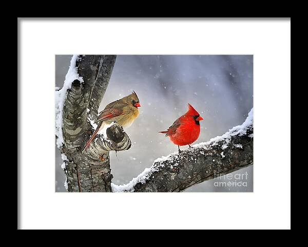 Nature Framed Print featuring the photograph Beautiful Together by Nava Thompson