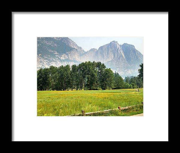 Beautiful Yosemite Meadow Framed Print featuring the photograph Beautiful Yosemite Meadow by Christine Owens