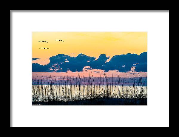 Break Of Day Framed Print featuring the photograph Beauty and the Birds by Mary Hahn Ward