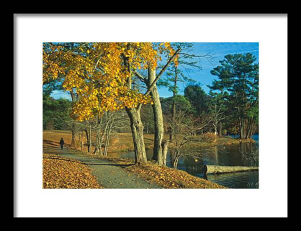 Fall Framed Print featuring the photograph Beaver Lake Park by Robert McKinstry