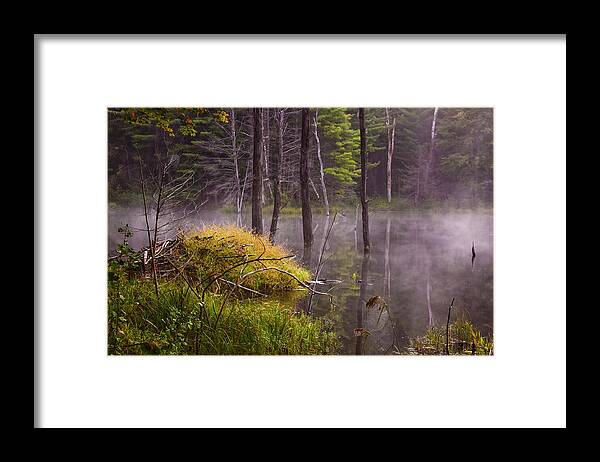 Pond Framed Print featuring the photograph Beaver Lodge by Tom Singleton