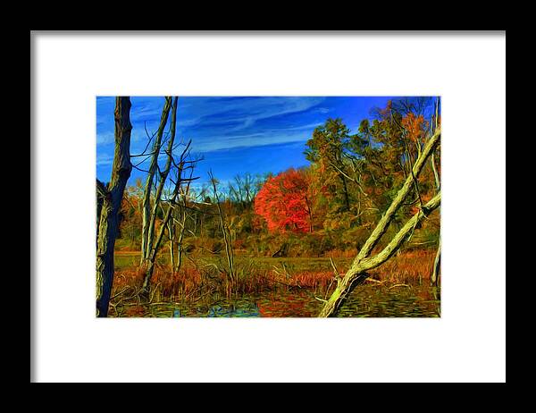 Beaver Framed Print featuring the digital art Beaver Marsh in October by Dennis Lundell