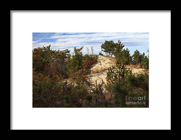 Herring Point Framed Print featuring the photograph Before the Beach by Robert Pilkington