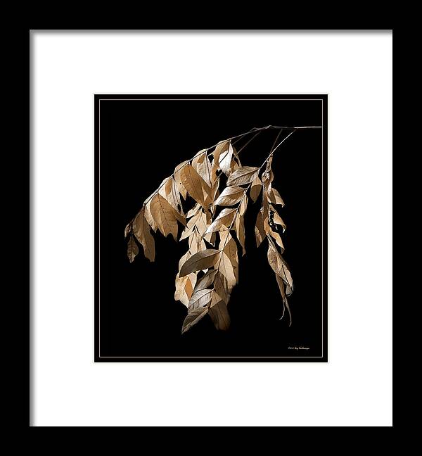 Fall Framed Print featuring the photograph Before the Fall by Lucy VanSwearingen