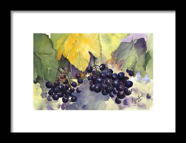 Vineyard Framed Print featuring the painting Before the Harvest by Maria Hunt