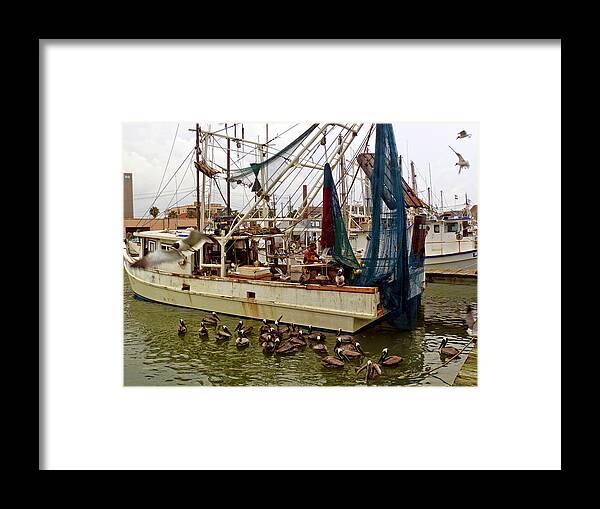 Shrimp Boat Framed Print featuring the photograph Beggers by Robert Brown