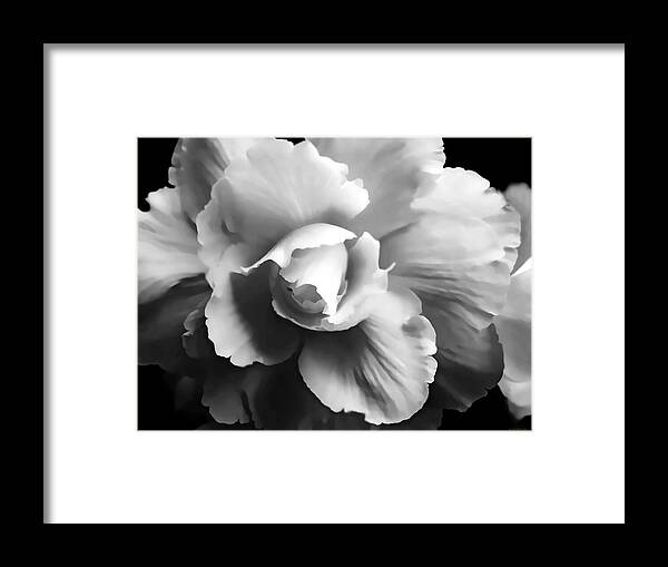 Begonia Framed Print featuring the photograph Begonia Flower Monochrome by Jennie Marie Schell
