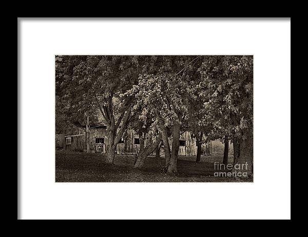 Barn Framed Print featuring the photograph Behind The Trees by Deborah Benoit