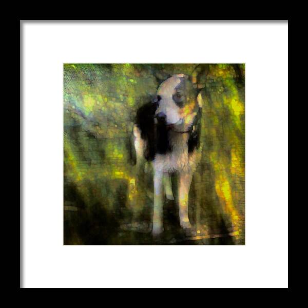 Dog Framed Print featuring the photograph Being by Suzy Norris