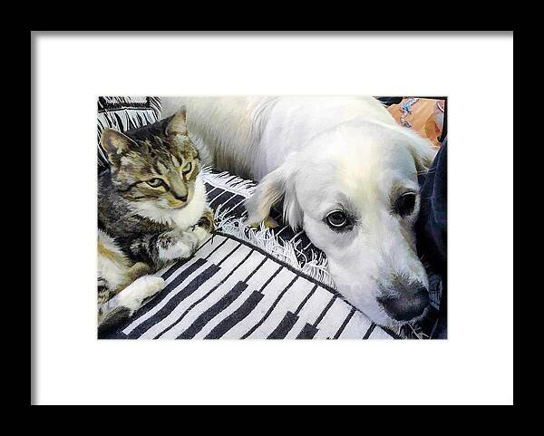  Framed Print featuring the digital art Bella and Peroni by Photographic Art by Russel Ray Photos