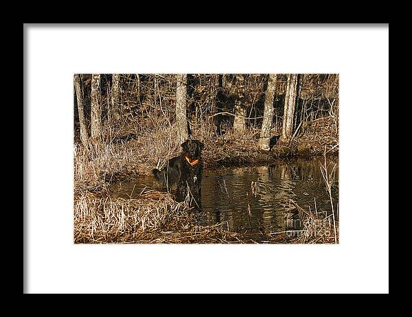 Cindi Ressler Framed Print featuring the photograph Ben by Cindi Ressler