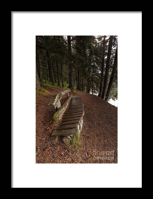 Forest Framed Print featuring the photograph Bench Rest by Steven Reed