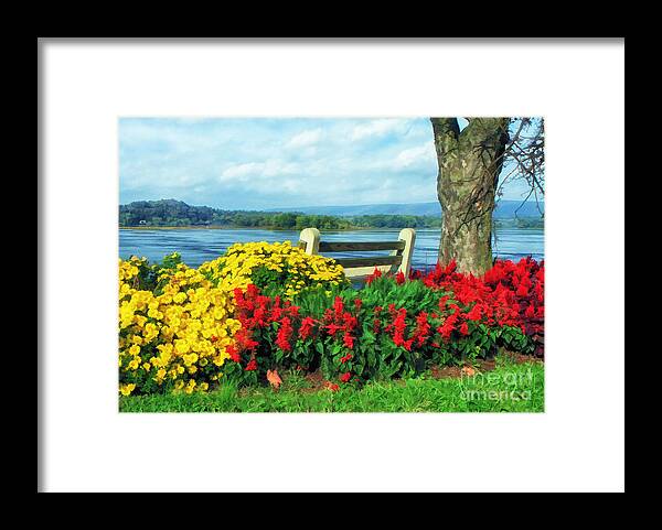 Nature Framed Print featuring the photograph Bench With A View by Geoff Crego