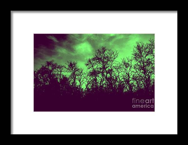 Green Framed Print featuring the photograph Bend to Winters Light by Alex Blaha