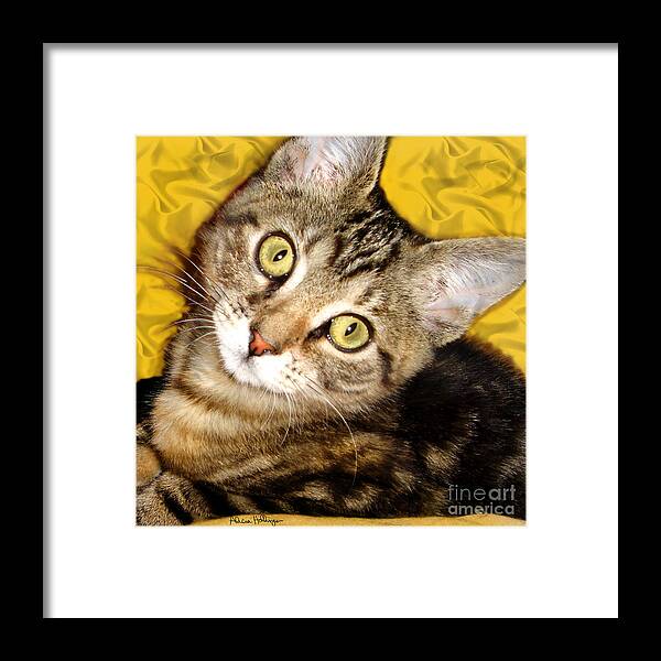 Cat Framed Print featuring the mixed media Bengal Cat Kitten by Alicia Hollinger