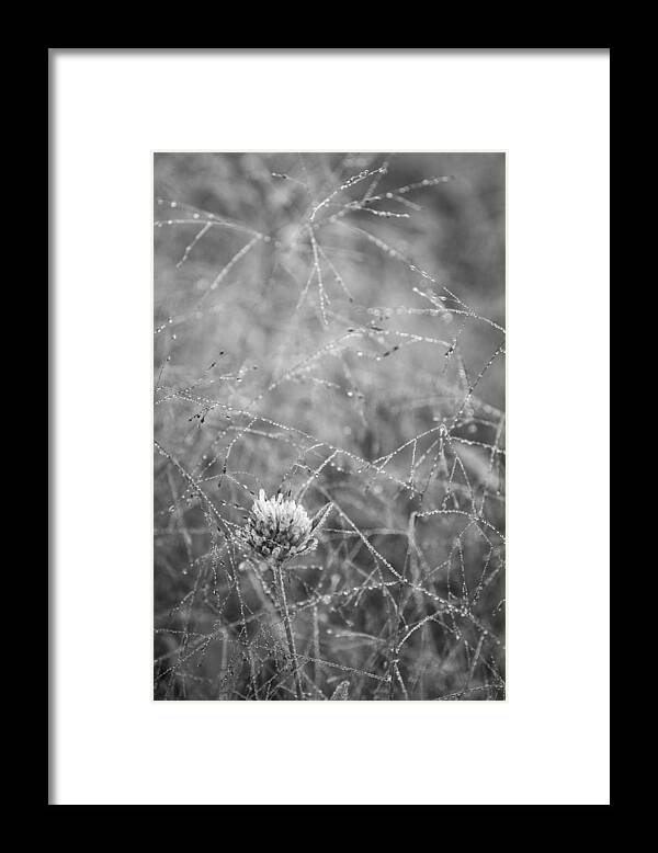 Bewitched Framed Print featuring the photograph Bewitched II by Alan Norsworthy