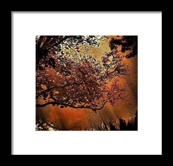 Fog Framed Print featuring the photograph Bewitching Kansas by Abbie Loyd Kern