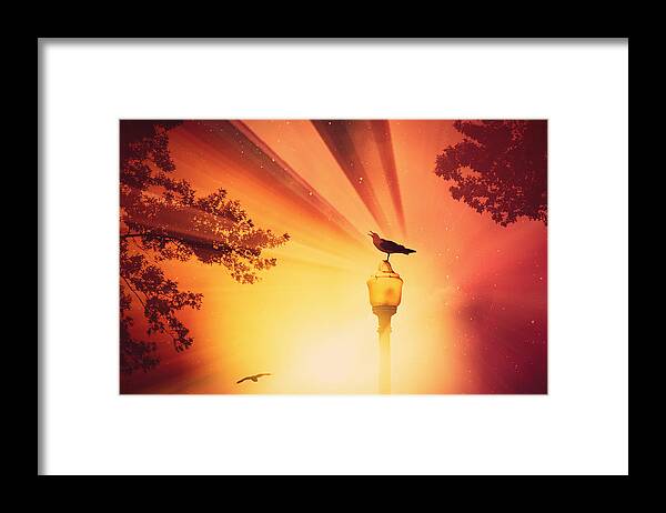 Birds Framed Print featuring the photograph Beyond The Beyond by Aurelio Zucco