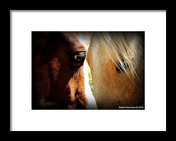 Horses Framed Print featuring the photograph BFF by Rabiah Seminole