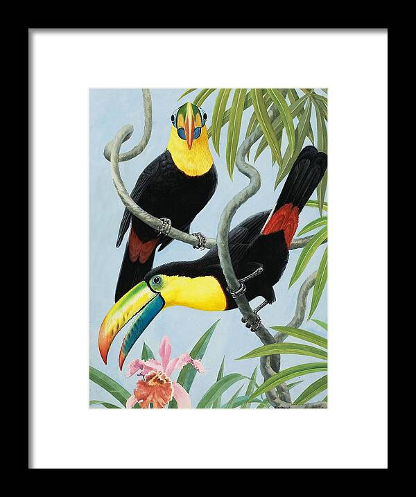 Birds Nest Framed Print featuring the painting Big-beaked Birds by RB Davis