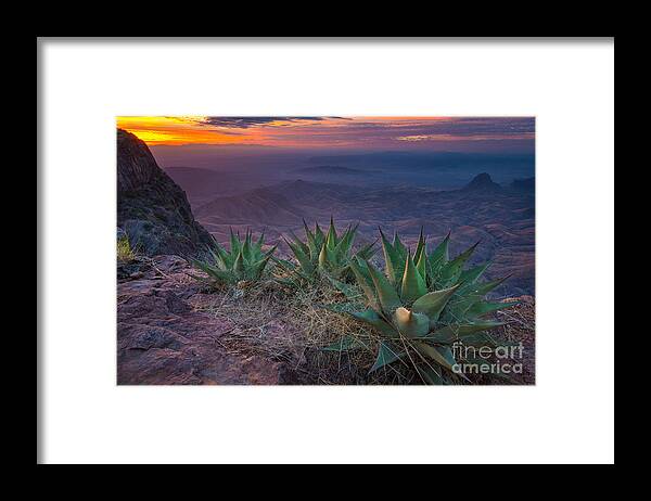 America Framed Print featuring the photograph Big Bend Twilight by Inge Johnsson